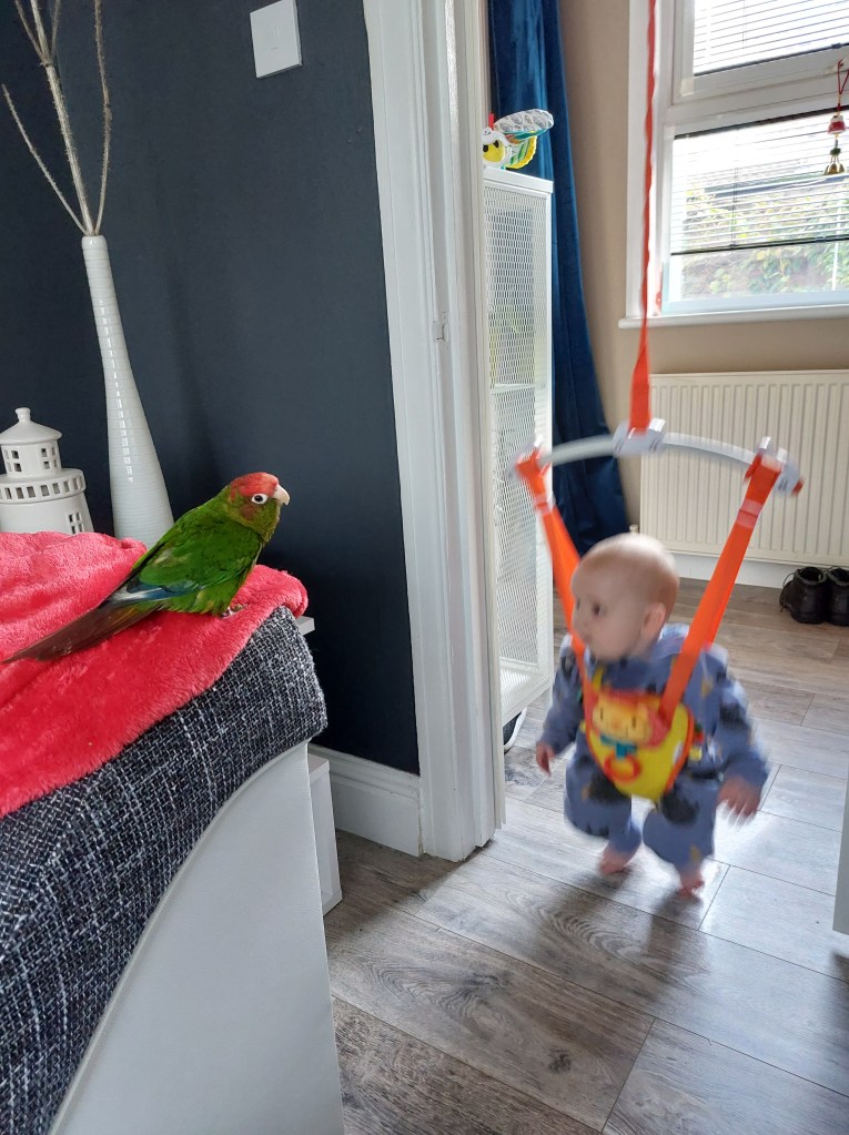 Photo of Rocco and baby