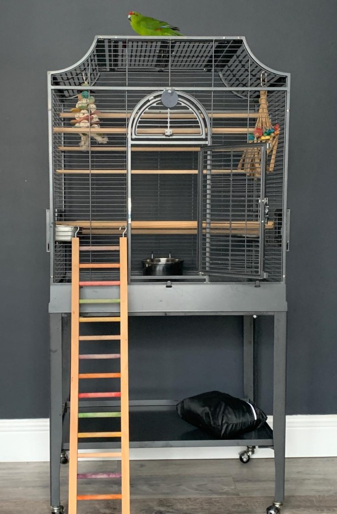 Photo of the guest cage with Maya